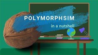 Polymorphism in a Nutshell