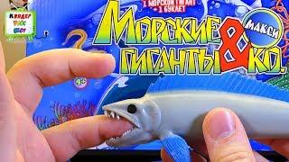 Морские Гиганты и КО МАКСИ