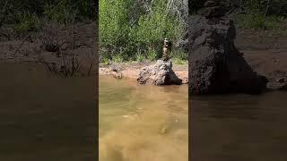Stone balancing cairn!!! #lifeisbutadream #haveitoldyoulatelythatiloveyou #ihavethisthingwithplants
