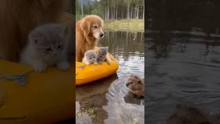 A Puppy and Kitten Encounter a Wild Otter — What Follows Is Unexpectedly Wholesome
