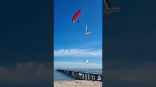 Parachute Jet  at Mornington #shorts #Helicopter #jet #parachute #mornington