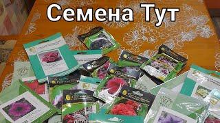 "Семена Тут" .Обзор посылки с семенами