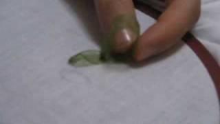 japanese ribbon stitch: kurdele nakışı yaprak