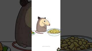 #animation #funny #capybara #memes #rat #foodanimation #animationmemes #animationmeme #artanimation