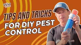 Pest Dude shares tips and tricks for DIY pest control.