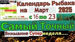 Лунный календарь клева рыбы на Март 2025 Прогноз клева на эту неделю с 16 по 23 марта