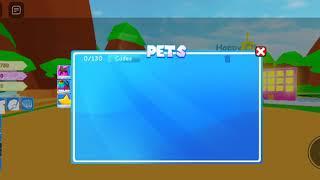 Code in pet trainer simulator