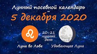 [5 декабря 2020] Лунный посевной календарь огородника-садовода | Флористикс Инфо