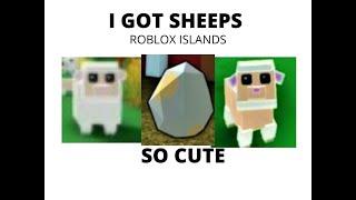 I Got Sheep's/Sheep Eggs (Roblox Islands)