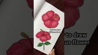 Tutorial: How to Draw ￼Hibiscus Flower#Shorts #Trending