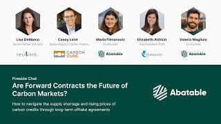 Fireside Chat: Are Offtake Agreements the Future of Carbon Markets?