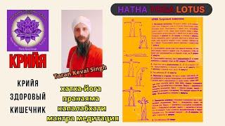 Крийя - здоровый кишечник. Хатха йога, Медитация. Taran Keval Singh 