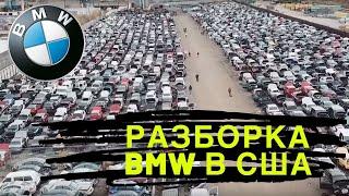 РАЗБОРКА БМВ В США. СВАЛКА АВТОМОБИЛЕЙ. СНИМАЮ НА СВОЮ BMW ЗАПЧАСТИ