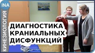 Диагностика краниальных дисфункций. Прикладная кинезиология. Проф. Л.Ф.Васильева