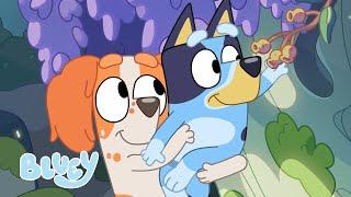 Bluey and Mia Make a Fairy Garden ‍️  | Season 2 Highlight - Barky Boats | Bluey