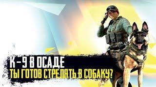 Rainbow Six Siege - Собака из К-9 и стрельба с двух рук | Интервью с разработчиком