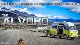 VW Camper Van Cruise to the Alvord Desert | April Fool's Ausflug 2024