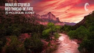 Braulio Stefield - Red Thread Of Fate [Molekular Sounds] Extended