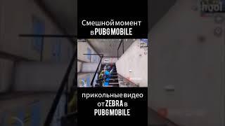 Приколы в Pubg Mobile 🫡пубг ПАБГ МЕТРО метро рояль пубг SEO пабг стрим