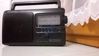 Panasonic RF-3500