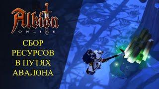 Albion online : СБОР РЕСУРСОВ - ТОЛЬКО В ПУТЯХ АВАЛОНА