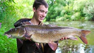 INCREDIBLE River Fishing - Big Barbel and Chub!