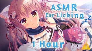 ASMR  Ear Licking Intense (1 Hour)  Japanese (ear eating, slurp sounds)