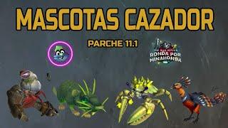 MASCOTAS CAZADOR MAS EXCLUSIVAS PARCHE 11.1 RONDA POR MINAHONDA | World of Warcraft