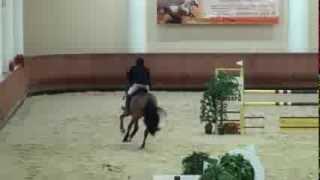 Каспарус, 125 см, CSI2*/CSIYH1*