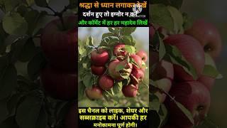 भोले नाथ के दीवाने   #shorts  #nature #motivation #trending #viral #reels #bholenath