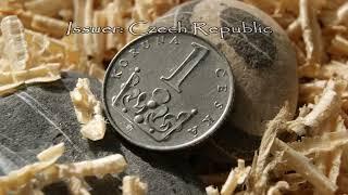 1 Koruna 1995 Czech Republic #numismatics #abarons