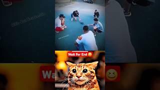 everything is big for them  #cat #meme #dance #trending