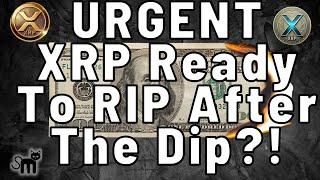 WARNING! XRP IS GETTING READY TO RIP! XRP PRICE PREDICTION $20 $50 $100 or More?