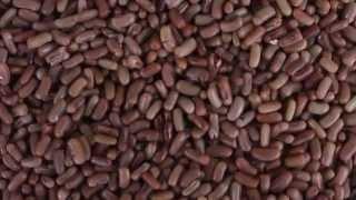 Kenyan Traditional Foods