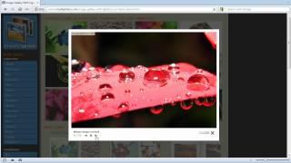 Image Gallery With Lightbox: No Frame Style DEMO - Large images fit to browser window