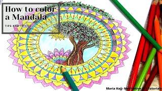 How to color a Mandala- design picked from "Summer Mandala Book" by Maria Hajj