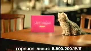 Реклама Whiskas набор Мой первый Whiskas (2005)