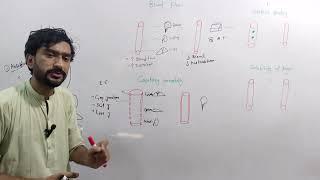 Drugs distribution. pharmacokinetics lec 2. Medexplora. zawaryousafzai