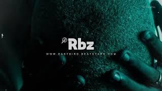 Burna boy ft tems type beat | afroswing x afro type beat 2024 | Afrobeat instrumental 2024 - RBZ