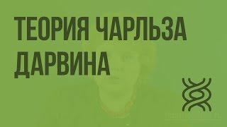 Основные положения эволюционной теории Чарльза Дарвина. Видеоурок по биологии 9 класс