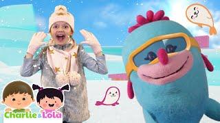 Baby Seal ​ | Giggle Wiggle  | Dance Party Songs & Rhymes ​ @Charlie-Lola