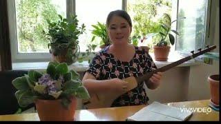 Кишимжан Жанышалиева "Суйуу жазы" жагымдуу чыгарма