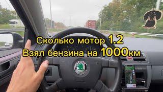 Шкода фабия 1.2 бензин сколько сожрала на 1000 км пути бензина ?