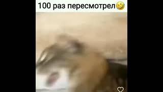 100  раз пересмотрел