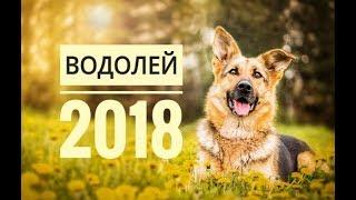 ВОДОЛЕЙ 2018. Самый точный гороскоп онлайн для всех