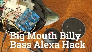 How to Hack Alexa Into a Fish