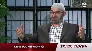 Голос разума. Какие цели должен ставить перед собой мусульманин в этом мире?