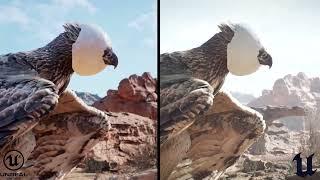 Meerkat Demo Comparison UE4 vs UE5.1 [LIGHTING STUDY]