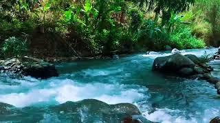 Relaxing River Sound calming Water For Proven to Cure Stress And Mental Disorders