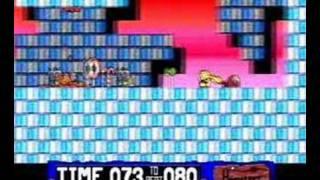 Hamsters Acorn Games Video Archive A3010/TV Card